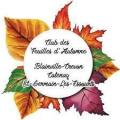 Logo feuilles d automne