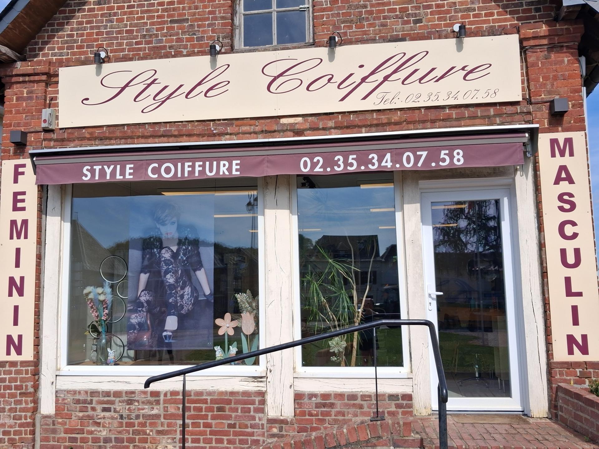 Style coiffure